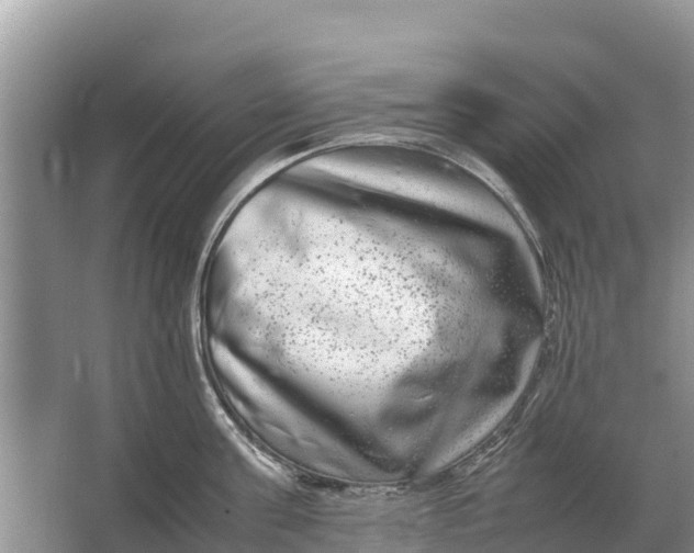 X0000064770811200602241951