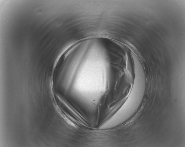 X0000064770812200602241951