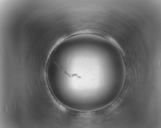 X0000064770813200602241951