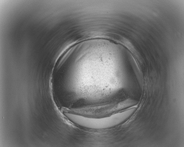 X0000064770814200602241951