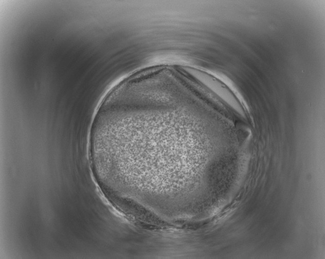 X0000064770815200602241951