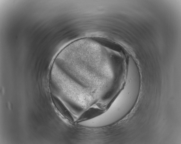 X0000064770816200602241951