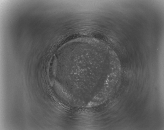 X0000064770817200602241950