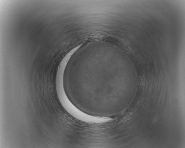 X0000064770818200602241950