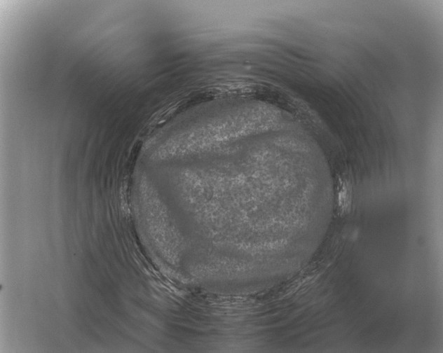 X0000064770819200602241950