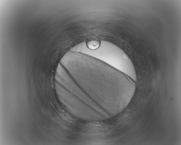 X0000064770820200602241950