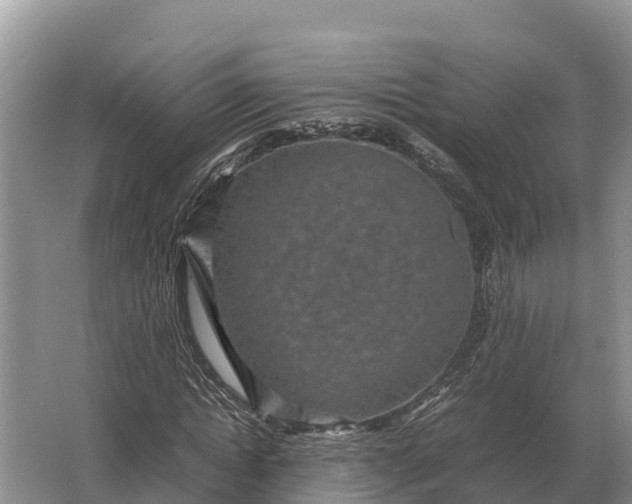 X0000064770822200602241950