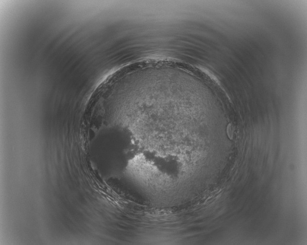 X0000064770823200602241950