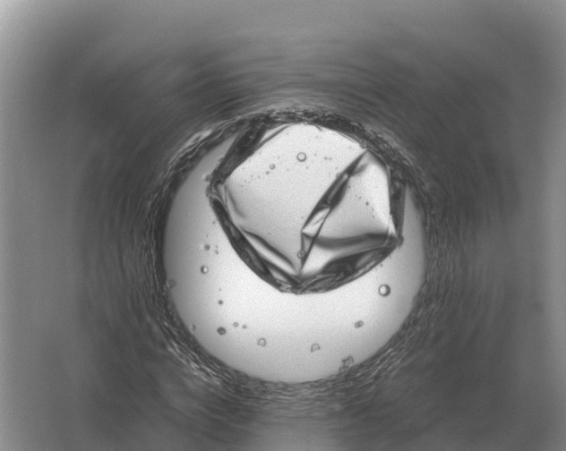 X0000064770824200602241950