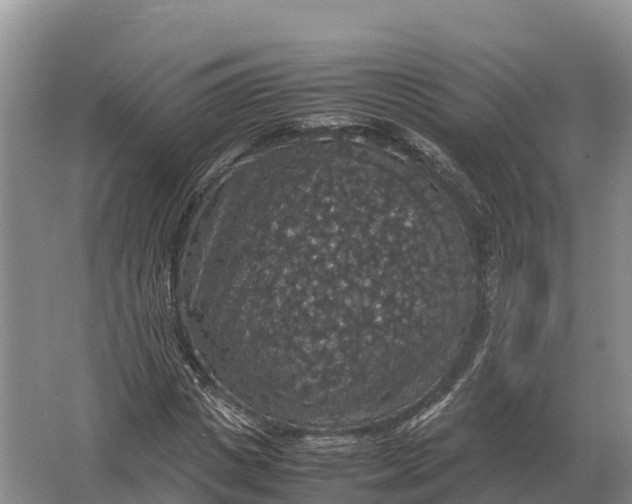 X0000064770825200602241950