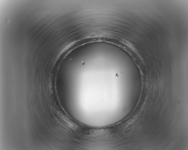 X0000064770826200602241950