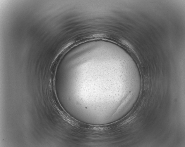 X0000064770827200602241950