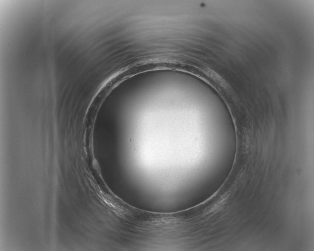 X0000064770830200602241950