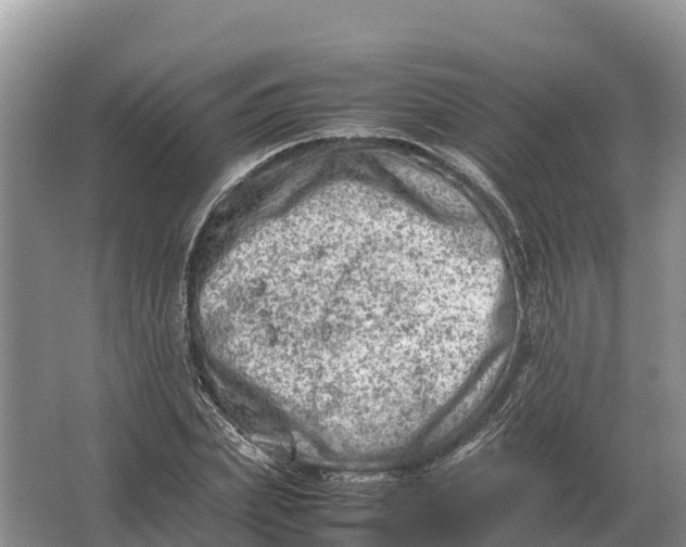 X0000064770831200602241950