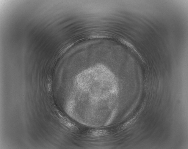 X0000064770833200602241950