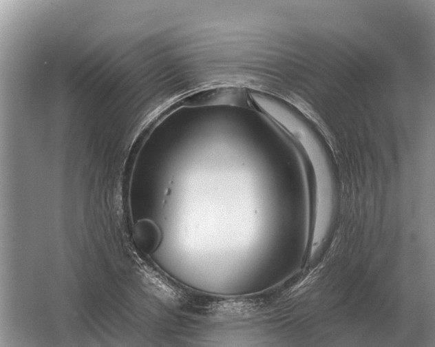 X0000064770834200602241950