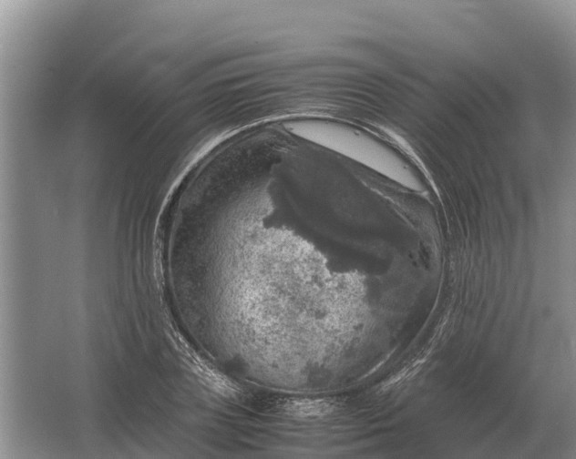 X0000064770835200602241950