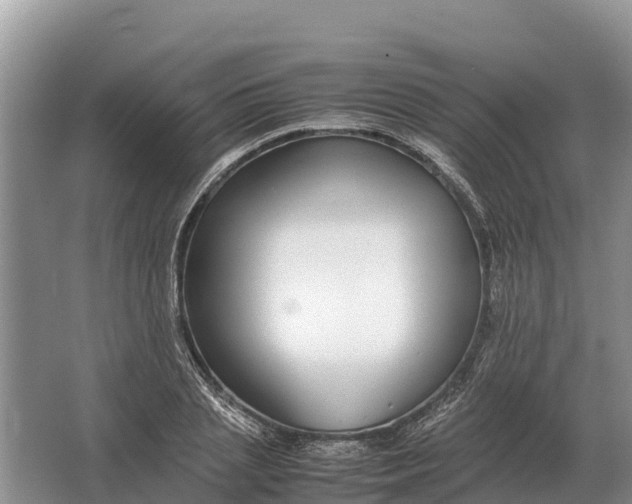 X0000064770837200602241950