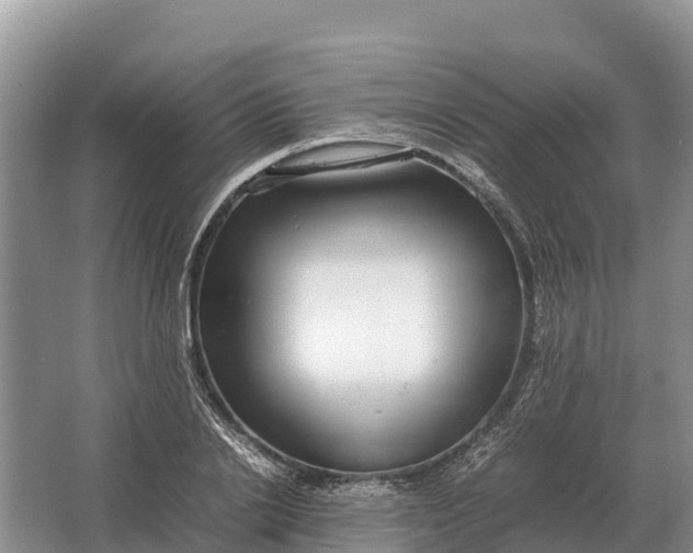 X0000064770838200602241950