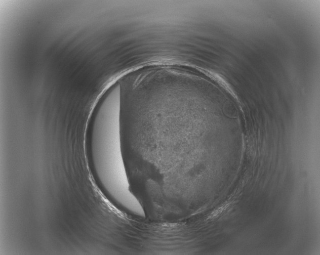 X0000064770839200602241950