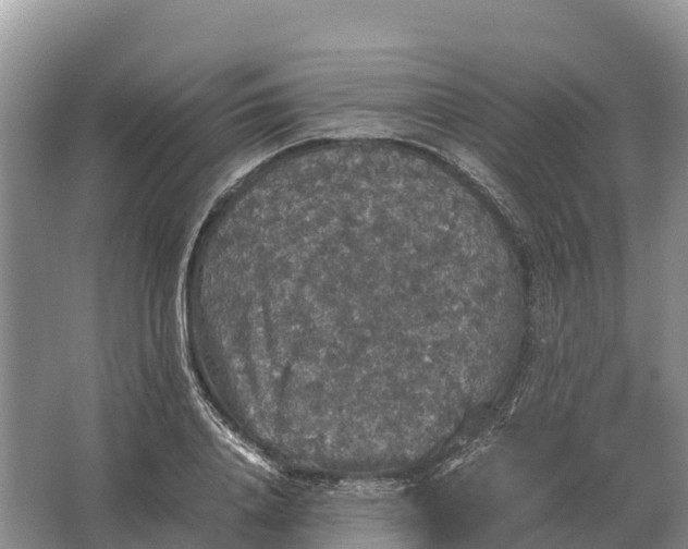 X0000064770840200602241950