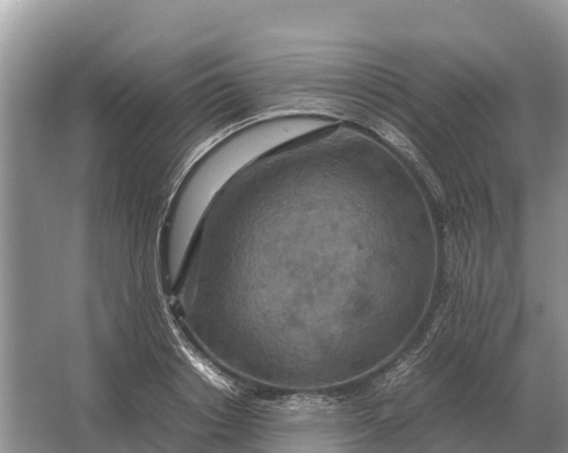 X0000064770842200602241950