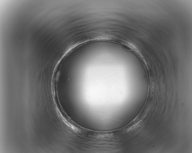 X0000064770843200602241951