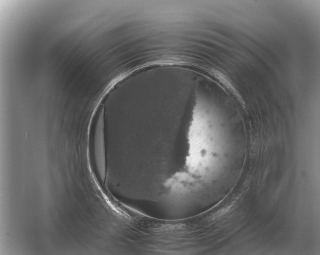 X0000064770845200602241951