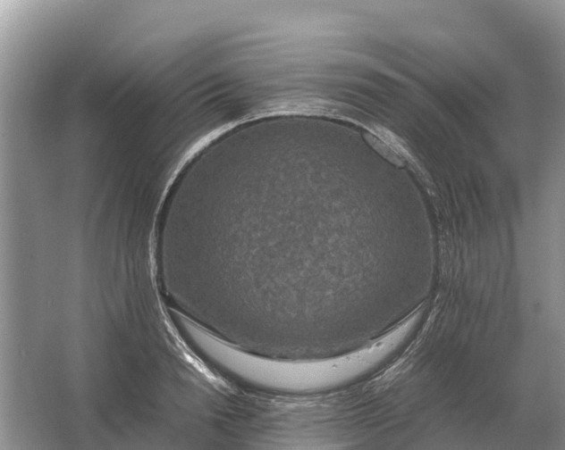 X0000064770846200602241951