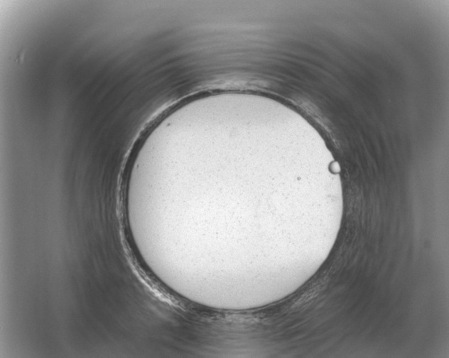 X0000064770848200602241951