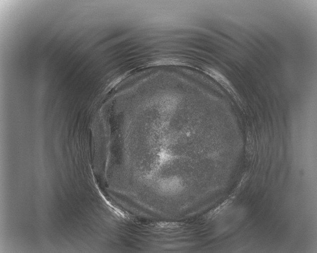 X0000064770849200602241951