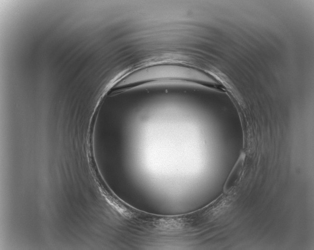 X0000064770850200602241951