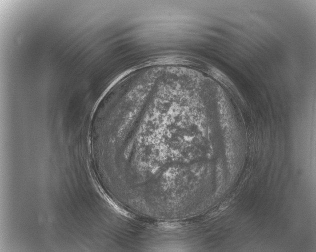 X0000064770852200602241951