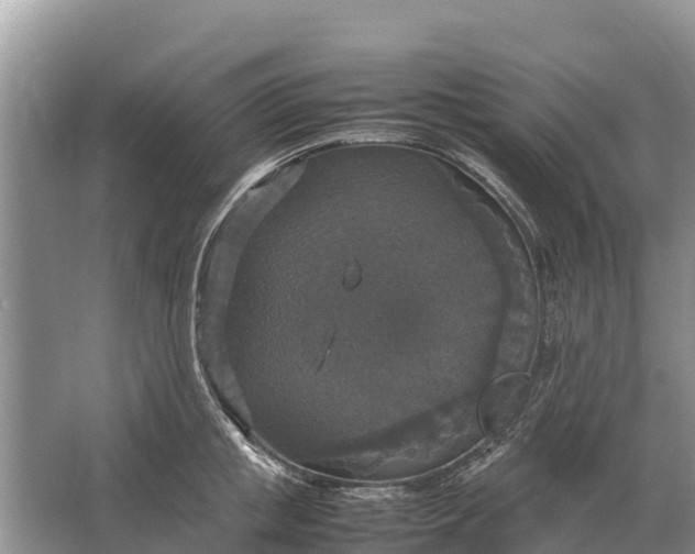 X0000064770853200602241951