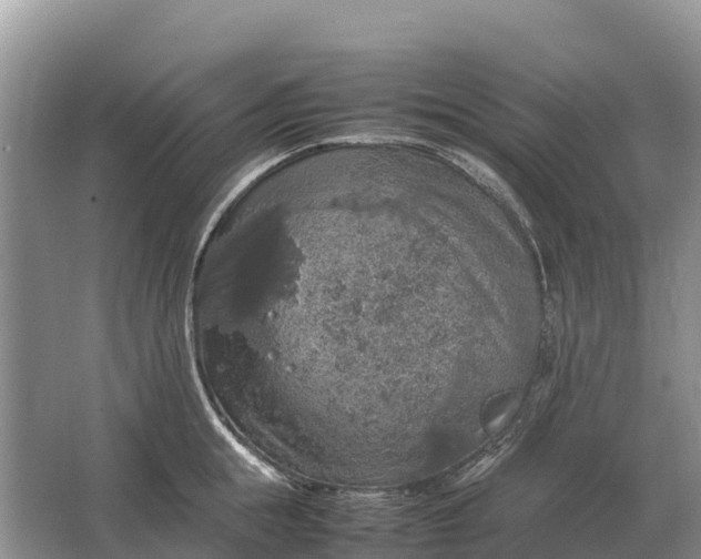 X0000064770855200602241951