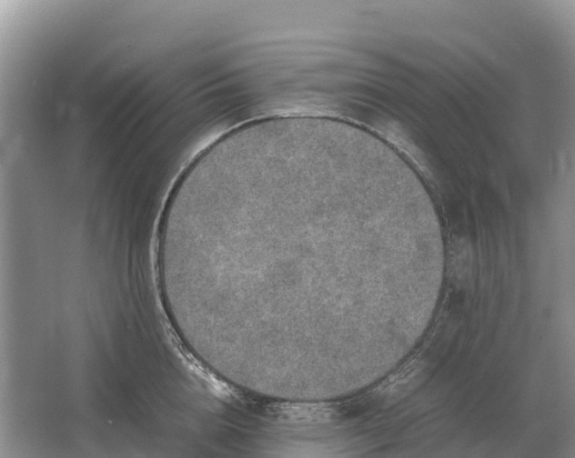 X0000064770856200602241951