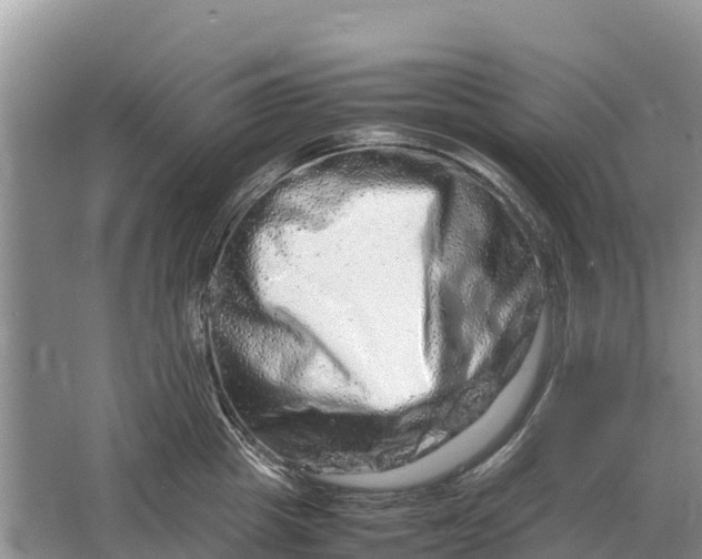 X0000064770857200602241951