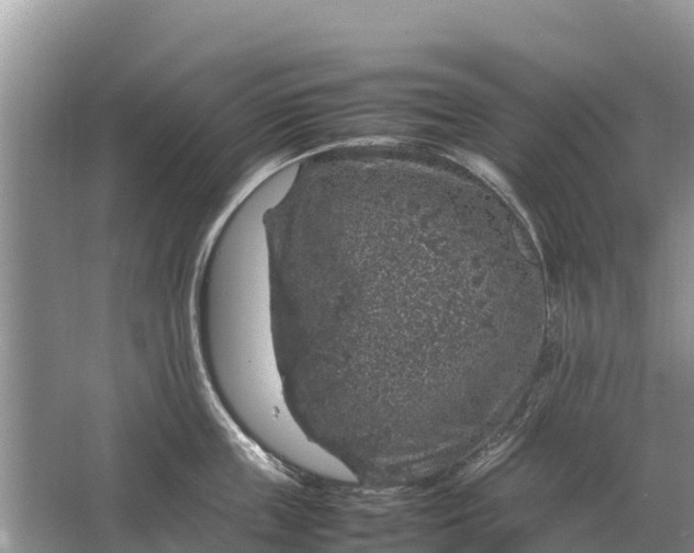 X0000064770859200602241951