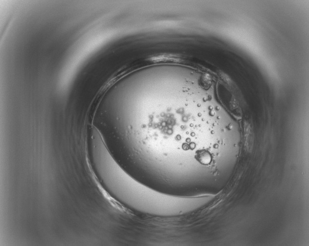 X0000064770861200602241951