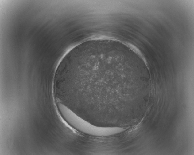 X0000064770863200602241951