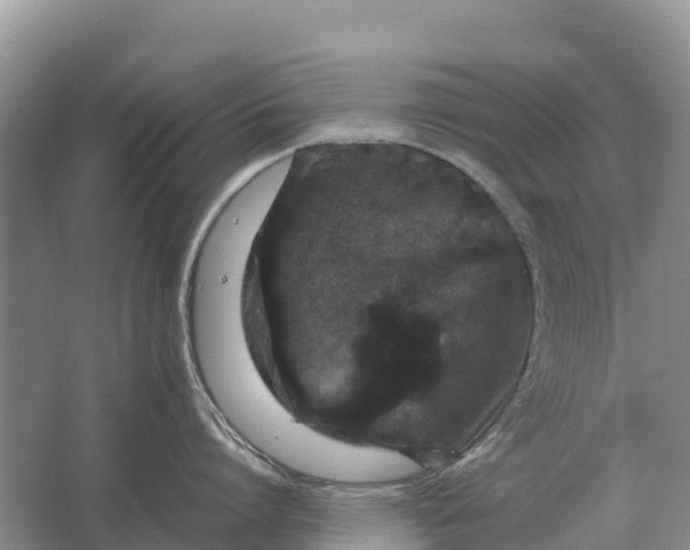 X0000064770864200602241951