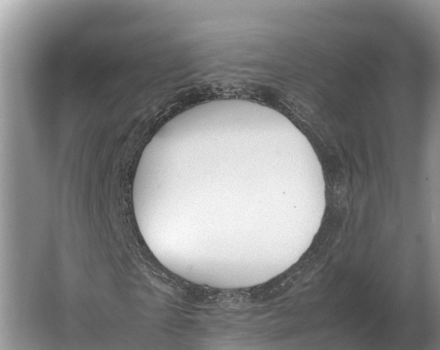 X0000064770865200602241950