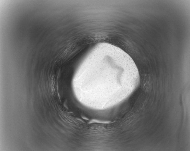 X0000064770866200602241950