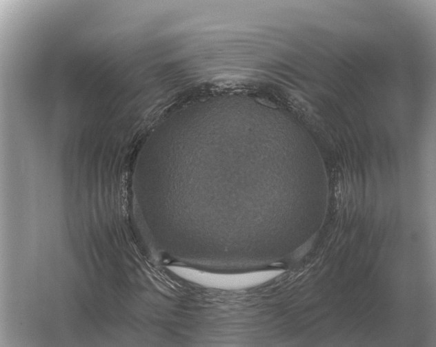 X0000064770868200602241950