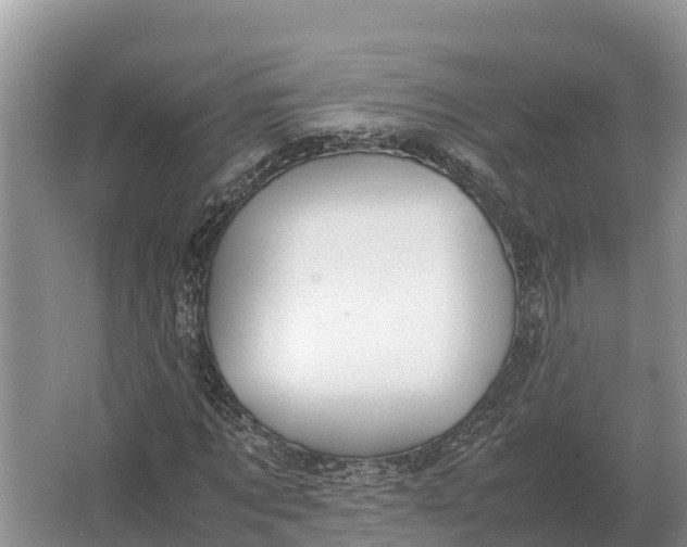 X0000064770869200602241950