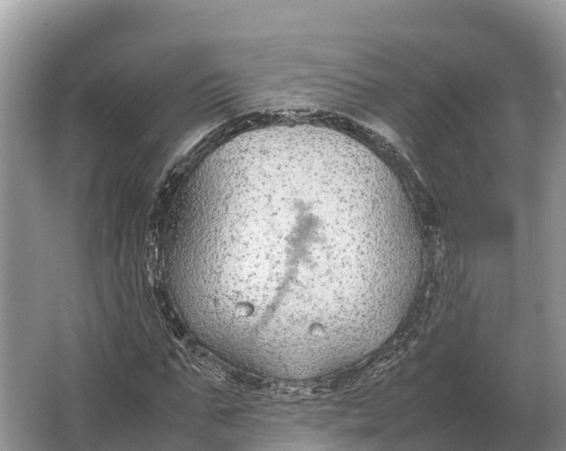 X0000064770871200602241950