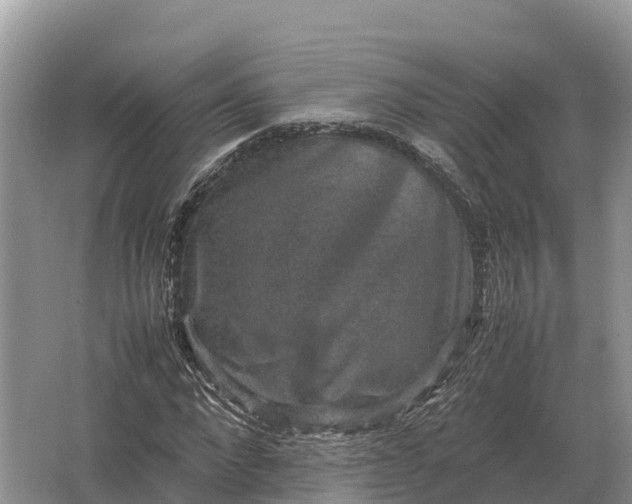 X0000064770872200602241950