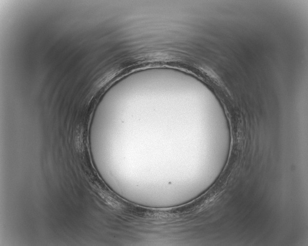 X0000064770873200602241950