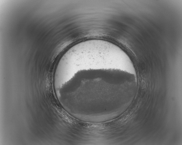 X0000064770874200602241950