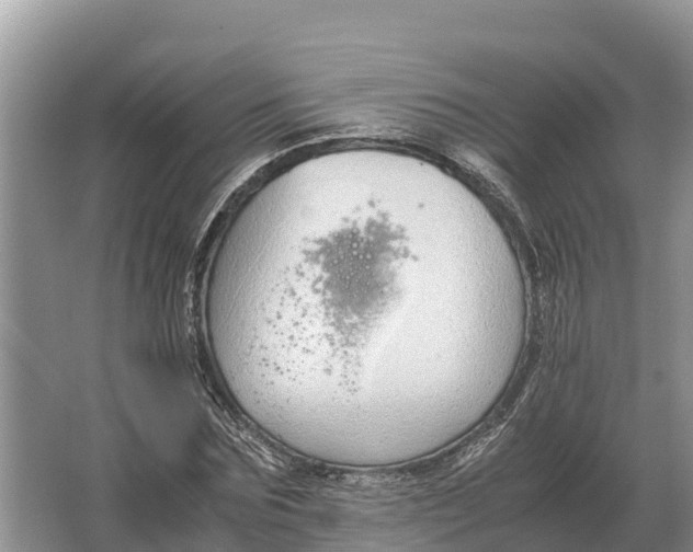 X0000064770875200602241950